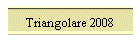 Triangolare 2008